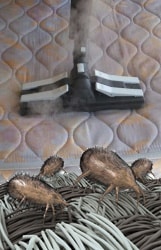 mattress cleaning service