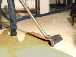 Residential Services, Carpet Cleaning, Rug Cleaning, Pet Urine And Odor Removal, Tile & Grout Cleaning, Upholstery Cleaning, Fire Damage, Power Washing, Air Duct Cleaning, Emergency Water Extraction, Maid Services, Commercial, Commercial Services, Carpet Cleaning, Carpet Repair, Pet Urine And Odor Removal, Fire Damage, Rug Cleaning, Power Washing, Air Duct Cleaning, Emergency Water Extraction, Maid Services, Industrial, Industrial Services, Carpet Cleaning, Carpet Repair, Pet Urine And Odor Removal, Fire Damage, Rug Cleaning, Power Washing, Air Duct Cleaning, Emergency Water Extraction, Maid Services